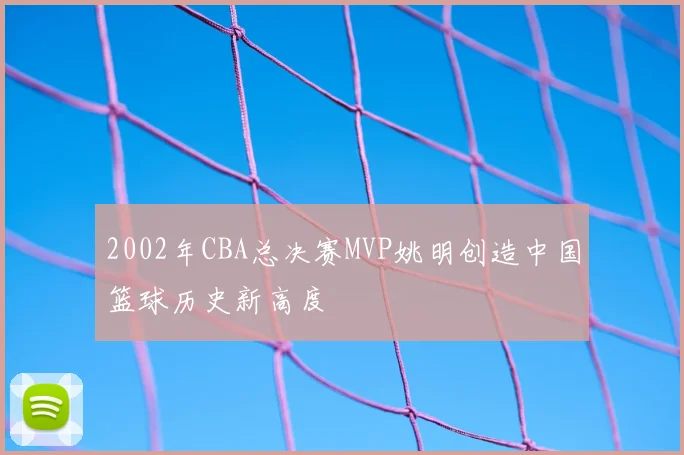2002年CBA总决赛MVP姚明创造中国篮球历史新高度