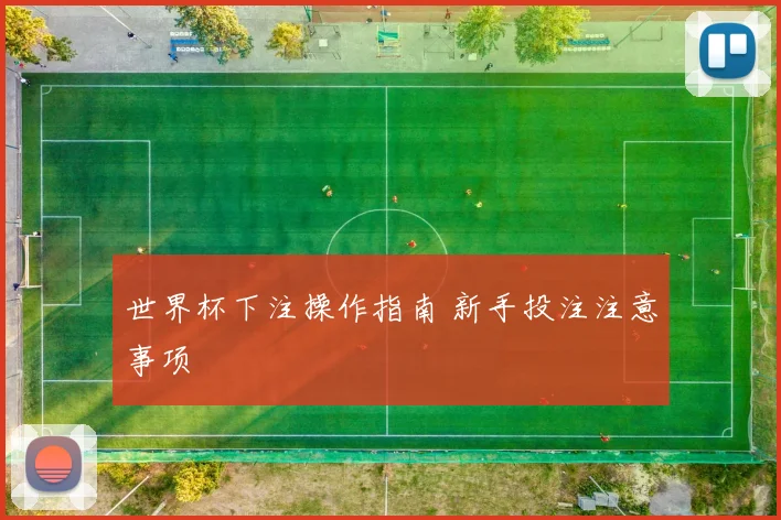 世界杯下注操作指南 新手投注注意事项