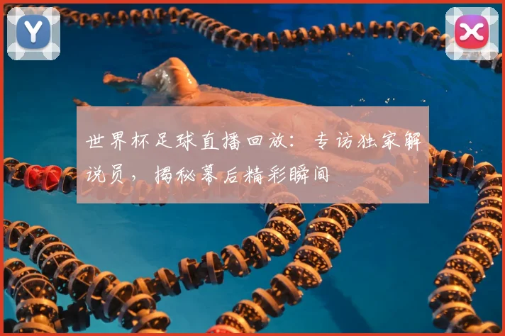 世界杯足球直播回放：专访独家解说员，揭秘幕后精彩瞬间