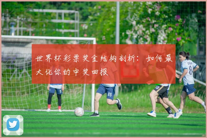 世界杯彩票奖金结构剖析：如何最大化你的中奖回报