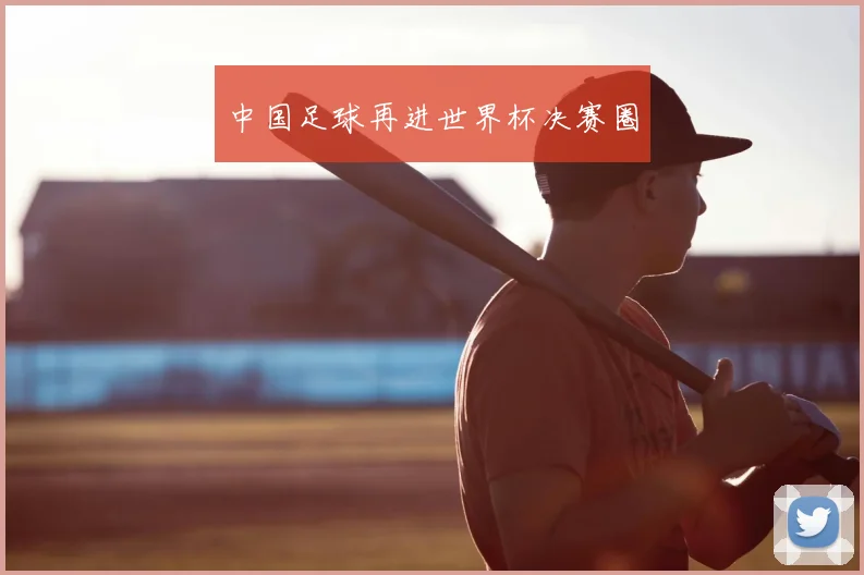 中国足球再进世界杯决赛圈