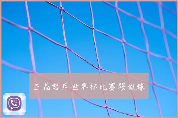 王晶怒斥世界杯比赛踢假球