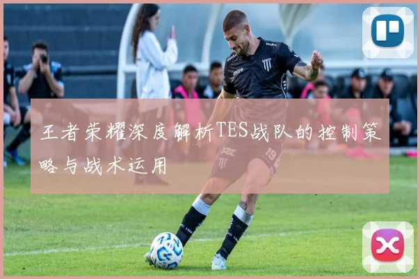 王者荣耀深度解析TES战队的控制策略与战术运用