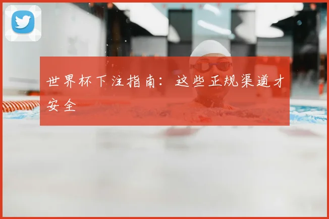 世界杯下注指南：这些正规渠道才安全