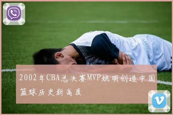 2002年CBA总决赛MVP姚明创造中国篮球历史新高度