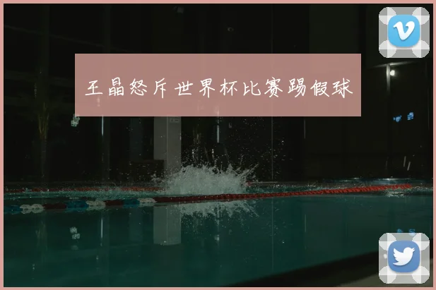 王晶怒斥世界杯比赛踢假球
