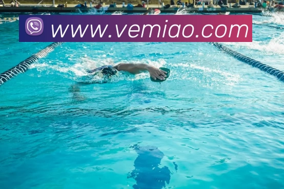 App Interface Preview